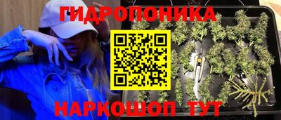 молекула духа Заводоуковск