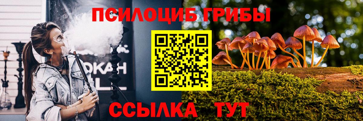 Псилоцибиновые грибы Cubensis Вологда